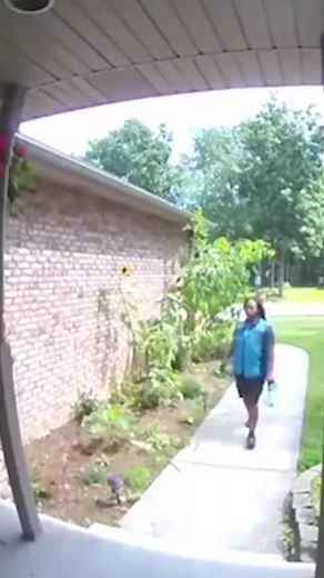 Amazon Delivery Driver: Delivering Excellence