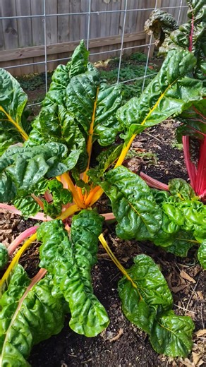 Sarah Morris-Penny on Reels | Facebook