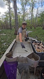 letting my son run a few crawfish traps#seafood #atchafalayabasin #countryboy #livingofftheland #fyp #crawfishing #louisianacheck | Louisiana Crawfish Club