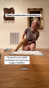 75K views · 6.1K reactions | New tinkle techniques for expressing...