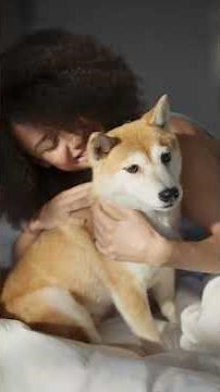 � Why Dogs Cry When You Come Home (The Real Science Behind It) 😭❤️ #dogfacts #doglove #didyouknow