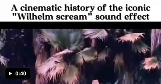 The Wilhelm scream - Video
