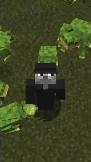 Things you didn't know about Minecraft Version 1.19 (Wild Update)