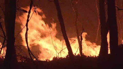 ‘Growing to dangerous sizes’: State issues warning as nearly 50 active brush fires burn in Mass.