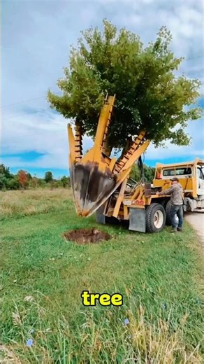 China Moves Entire Trees Instead of Cutting Them Down! 🌳😳 #shorts #viral