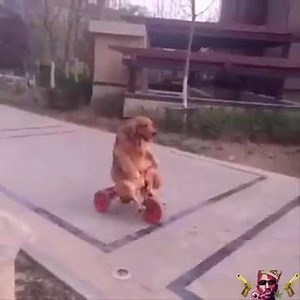 The Driver | Bruce Wayne | Facebook