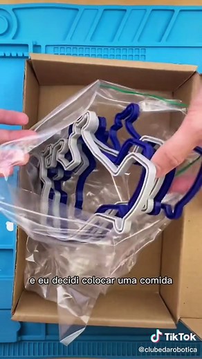 Nenhuma capivara foi ferida durante a gravação deste vídeo