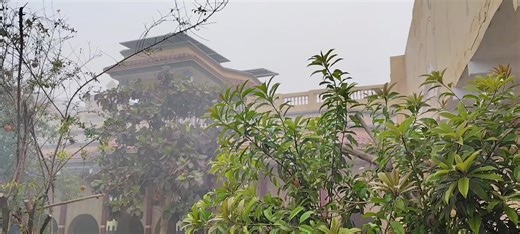 Exploring the Comforts of Home in Cold Weather