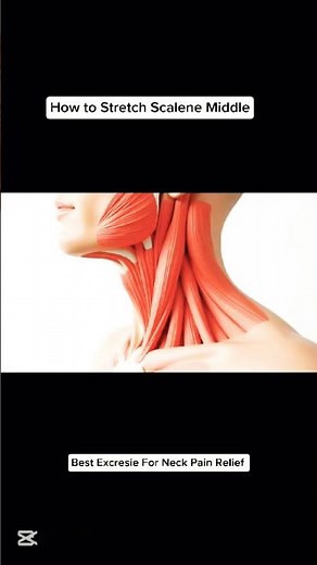 How to stretch scalene Middle