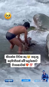 5.1M views · 162K reactions | Udaya Gamage on Reels | Facebook