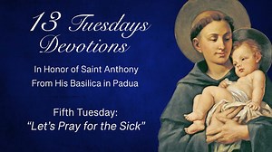 8.3K views · 702 reactions | In this video meditation fr. Mario...