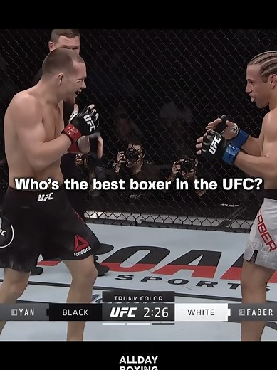 Top Boxers in UFC: Highlights and Analysis