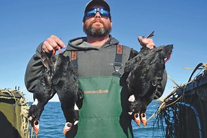 Big Water, Big Waterfowl Action: Sea Duck Hunting on Chesapeake Bay - Game & Fish
