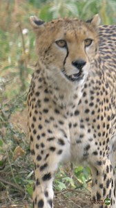 Tanzania is the perfect destination for a tailor-made family...