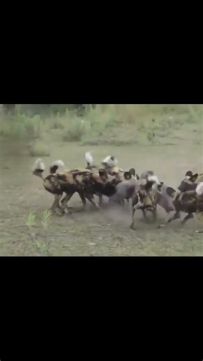 Your subscribe can change my life 🙏