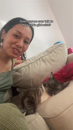 Grumpy Cat's Rescue Tale Gone Wrong