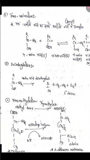 Protein Metabolism Notes | protein metabolism | transamination | Biochemistry