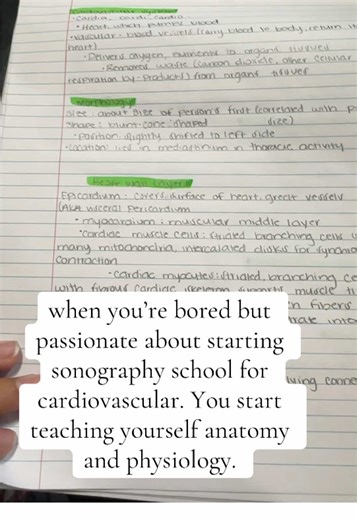 Chasing My Dreams: Starting Sonography School