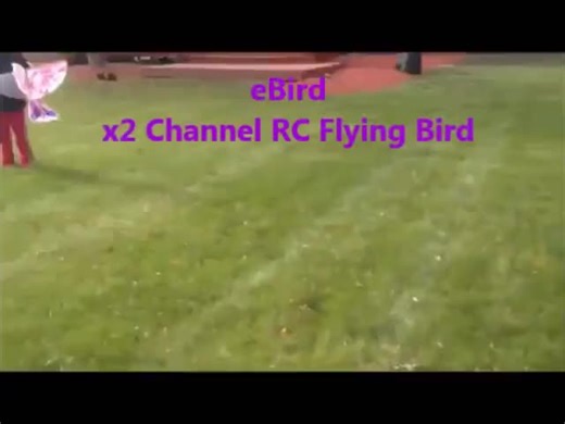 Dowellin RC Bird RC Airplane 2.4 GHz Remote Control E-Bird Flying Birds Electronic Mini RC Drone Toys