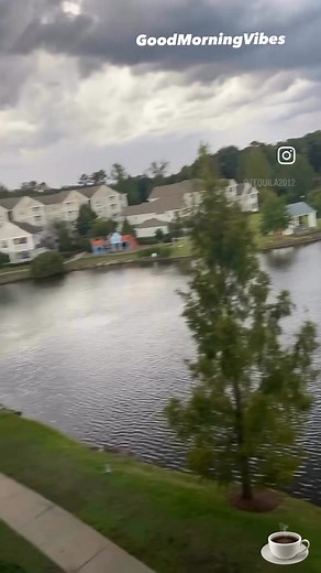 4.3K views · 161 reactions | Luna greeting like a little princess: hi hi good morning!  What a lovely way to wake up! ☕️✨ #LunaAndDolce #GoodMorningVibes #HiHiGoodMorning | 퐋퐔퐍퐀&퐃퐎퐋퐂퐄 | Facebook