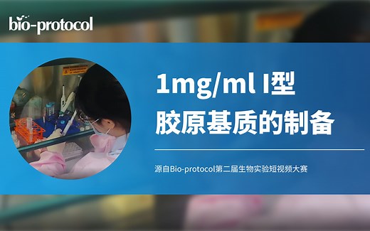 【Bio-protocol】1mg/ml I型胶原基质的制备