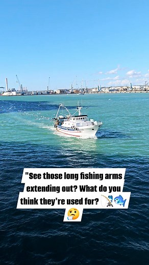 Fishing vessel 🚢🌊🐠 🐟 #fishing #fishingboat #commercialfishing #harbor #maritime #boats #ocean #fishinglife #seaport #nautical #marine #fisherman #trawler #fishingvessel #boating #fblifestyle | marine photography