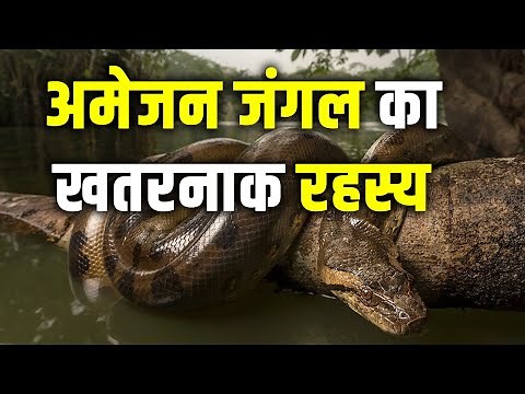 Amazon Jungle Ka Rahasya Hindi Mein | Amazon Rainforest Forest Video Hindi