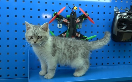 FPV穿越机组装 F4飞控接线【跟强哥学做多轴无人机】第十八集