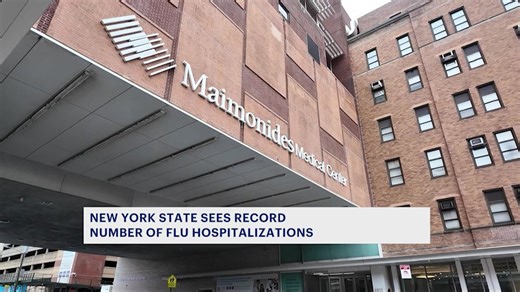 Maimonides Hospital sees more sick kids, seniors during record flu spike