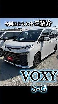 [Voxy] Amazing cargo capacity! Explanation of cargo space and seat arrangements.
