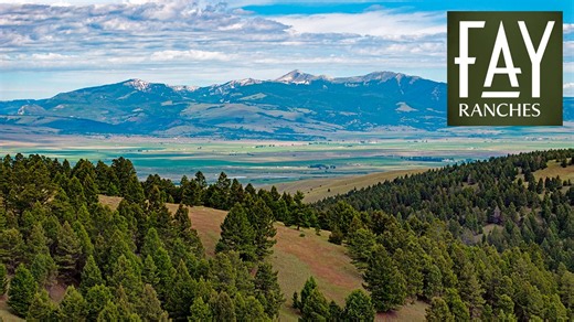Spotted Dog Retreat | Anaconda, Montana