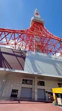 Inside Tokyo Tower! 🗼 Tokyo Skyline Views