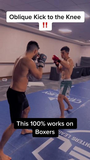 The Most Effective and Dangerous Kicks in Combat Sports