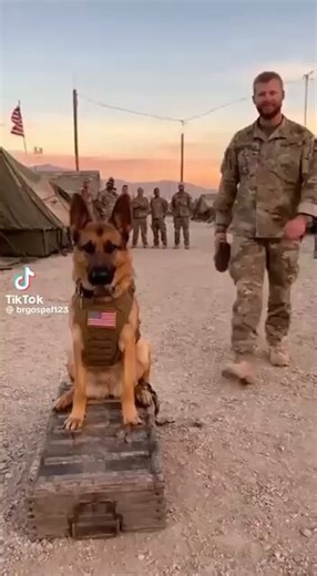 My friends,Thank you for being here. Thank you for standing up. And thank you for believing.When I look around and see so many people so active, so committed, so alive with purpose, I am reminded of something the world tries to make us forget — that hope is not gone, courage is not gone, and the human spirit is stronger than any darkness that tries to silence it.Each of you carries a beautiful soul. Each of you carries a light. And together, those lights form something powerful — a path forward.