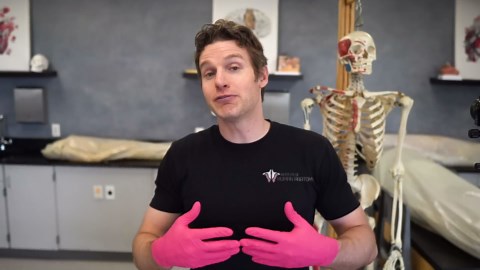 The Science of Building Pecs: Top Exercises and Anatomy