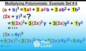 Mind Luster - Learn Algebra Ch 5 Polynomials 22 of 31 Multiplying Polynomials Example Set 4