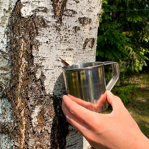 Compilation with awesome camping hacks | 5-Minute Crafts