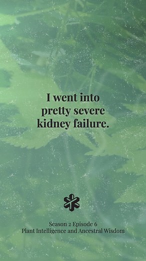 5.4K views · 191 reactions | This week's episode featured Sophie Strand's incredible story of kidney failure, a dream of nettle, and the healing mysteries science can’t yet explain. Do you have a story of plant healing?  Episode 6 | Plant Intelligence and Ancestral Wisdom Streaming NOW on all platforms. | The Telepathy Tapes | Facebook