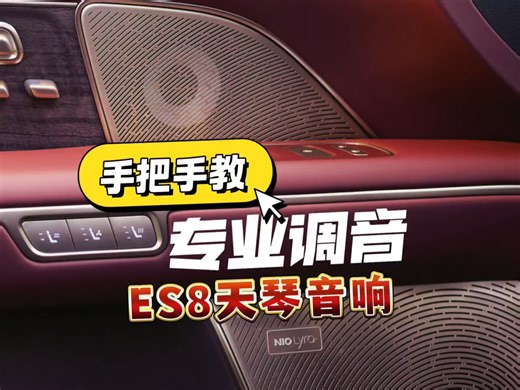 ES8天琴音响专业调音手把手教