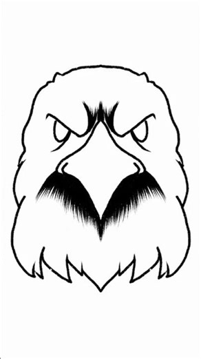 Eagle | illustration & drawing