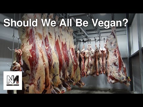 Should We All Be Vegan? | Interview with Peter Singer
