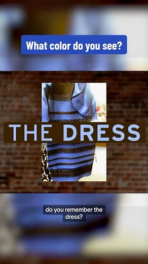 NOVA | PBS | Remember the infamous debate about “the dress”? Whether you saw it as blue/black or white/gold, it all comes down to the way your brain... | Instagram
