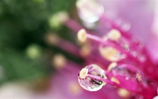 第五期社会网络分析方法与ucinet软件操作在线训练营