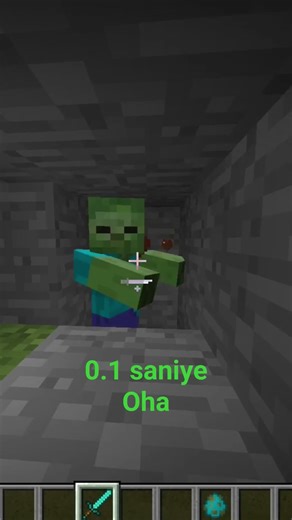 Hemen Dene Minecraft