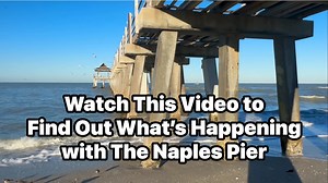 2.3K views · 46 reactions | Enjoy this early Saturday morning walk on...