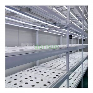 [Hot Item] Agricultural Greenhouses Hydroponic Grow Container System Vertical Farming Hydroponic Shipping Container Farm