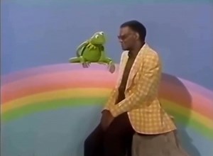 Kermit the Frog and Ray Charles singing Bein' Green in 1975 on Cher #raycharles #kermitthefrog | Legendary Musicians