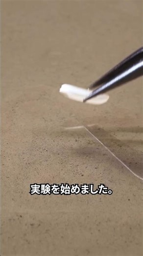 Can rice be grown in a kitchen?