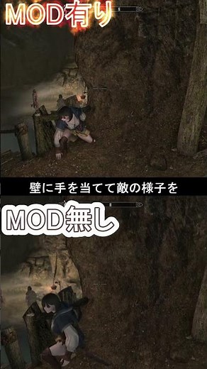 Skyrim Recommended Mod: RaySense - Cover Animation