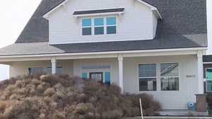 Attack of the tumbleweeds